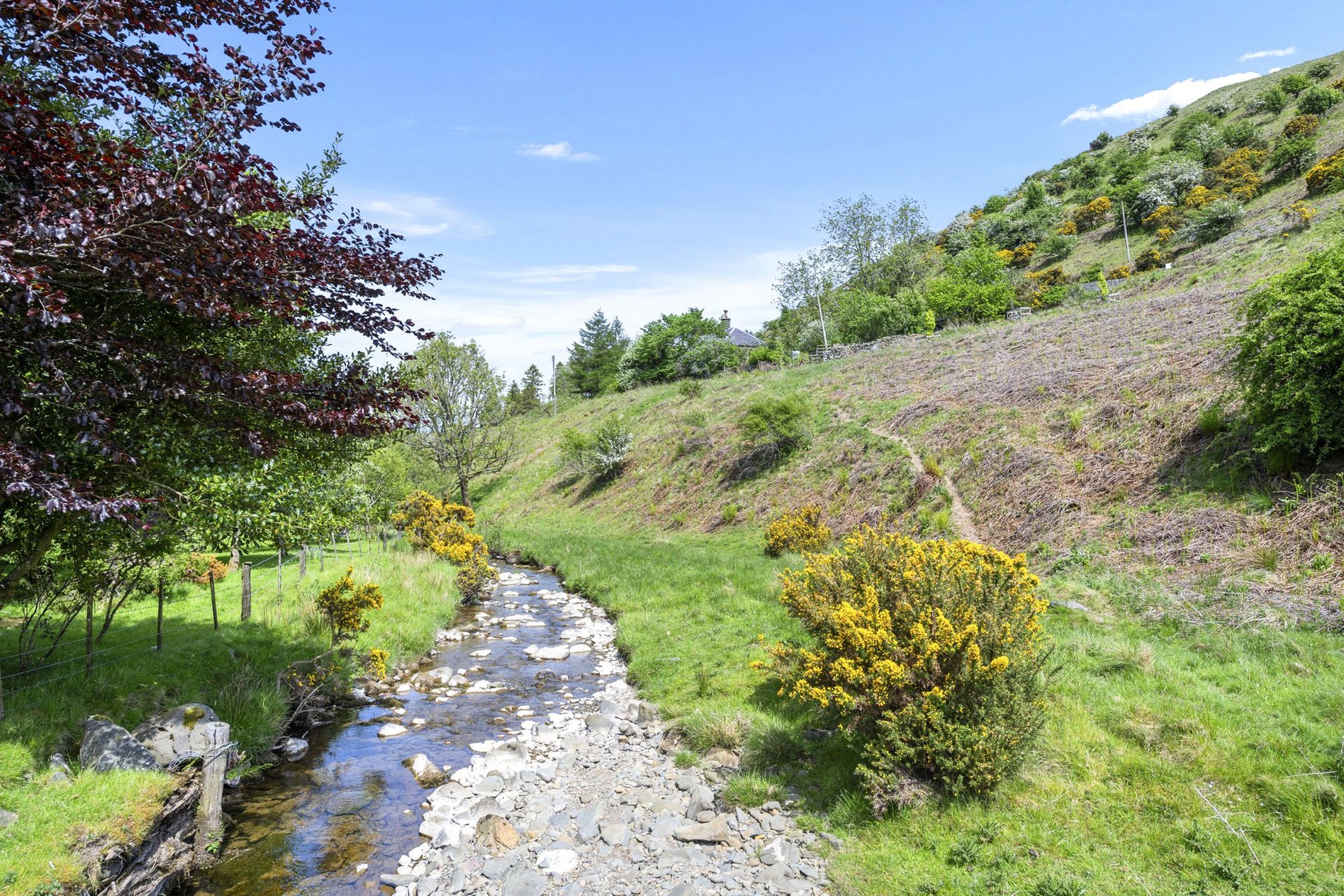 Priesthaugh Cottage, Hawick, Scottish Borders, TD9 0PQ - Picture #26