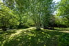 Harvieston Cottage, Gorebridge, Midlothian, EH23 4QA - Picture #26