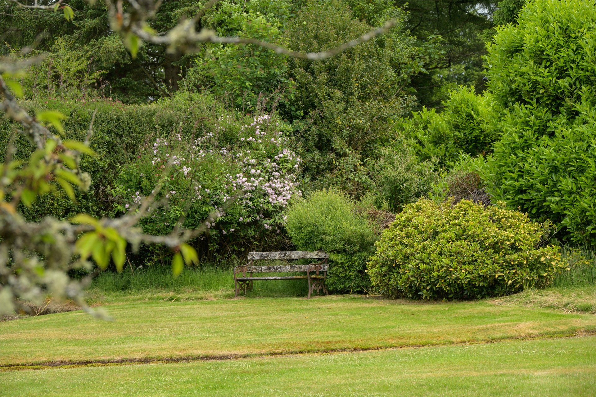 House On The Hill, Glen Road, Dunblane, Stirlingshire, FK15 0HR - Picture #28