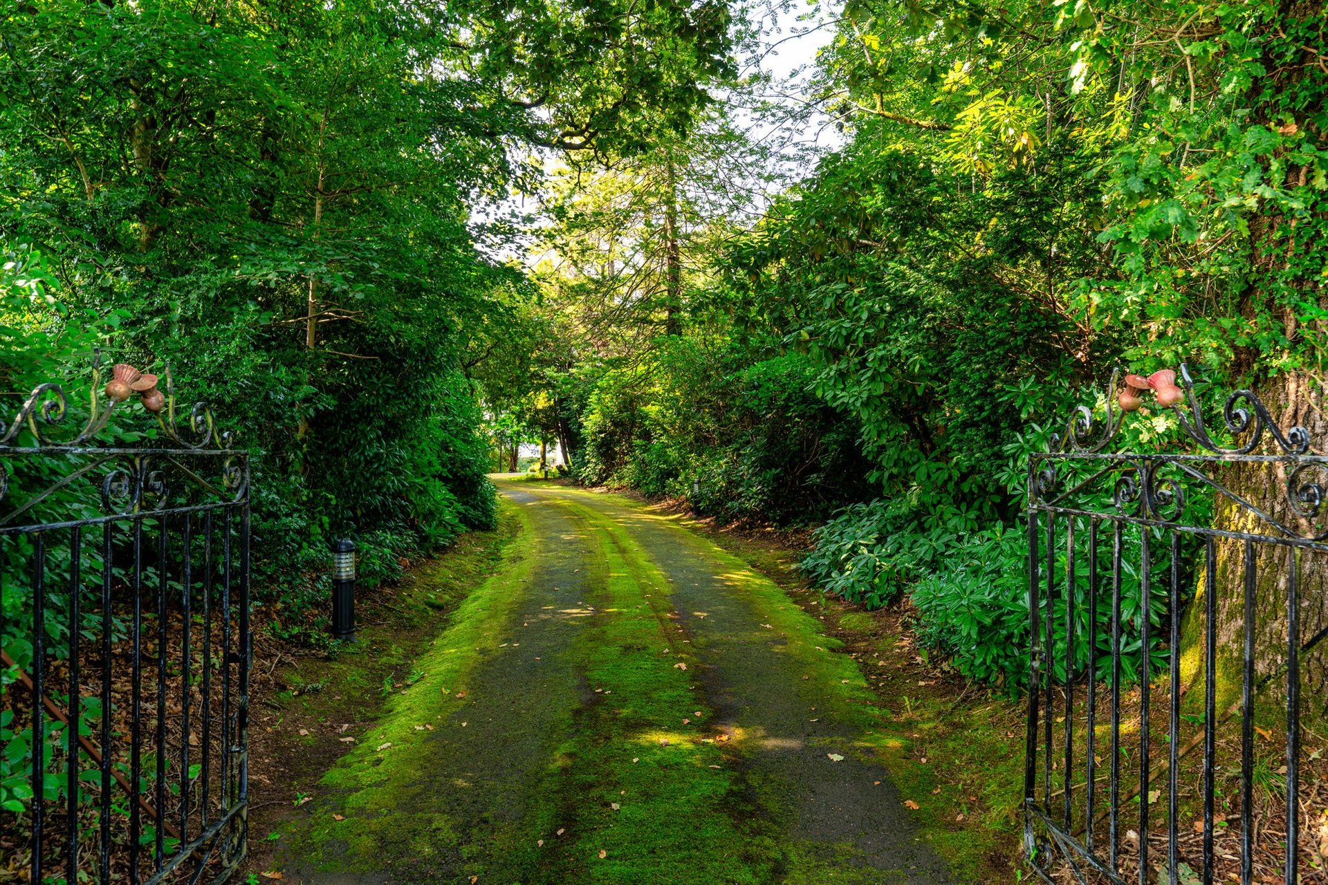 Tullycross, Croftamie, Stirlingshire, G63 0HG - Picture #56