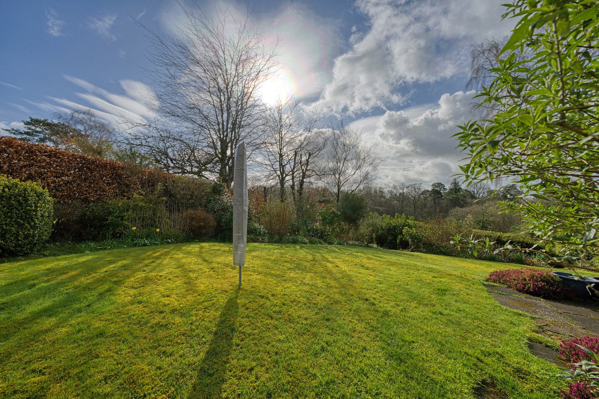 29 Lynn Drive, Milngavie, G62 8HL - Picture #4