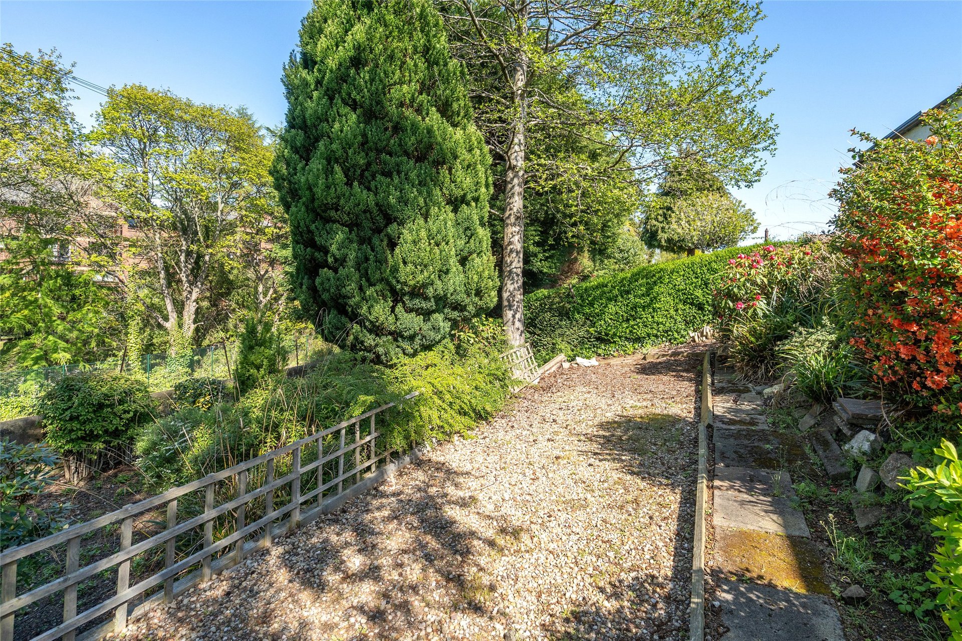 115 Cluny Gardens, Morningside, Edinburgh, EH10 6BP - Picture #33
