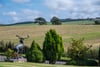 Linden House, Balbeggie, Perth, Perthshire, PH2 6HJ - Picture #3