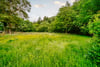 Pine Lodge, Ettrickbridge, Selkirkshire, TD7 5HW - Picture #36