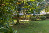 Flat 1 Lower Ground, 6 Lynedoch Crescent, Park, Glasgow, G3 6EQ - Picture #49