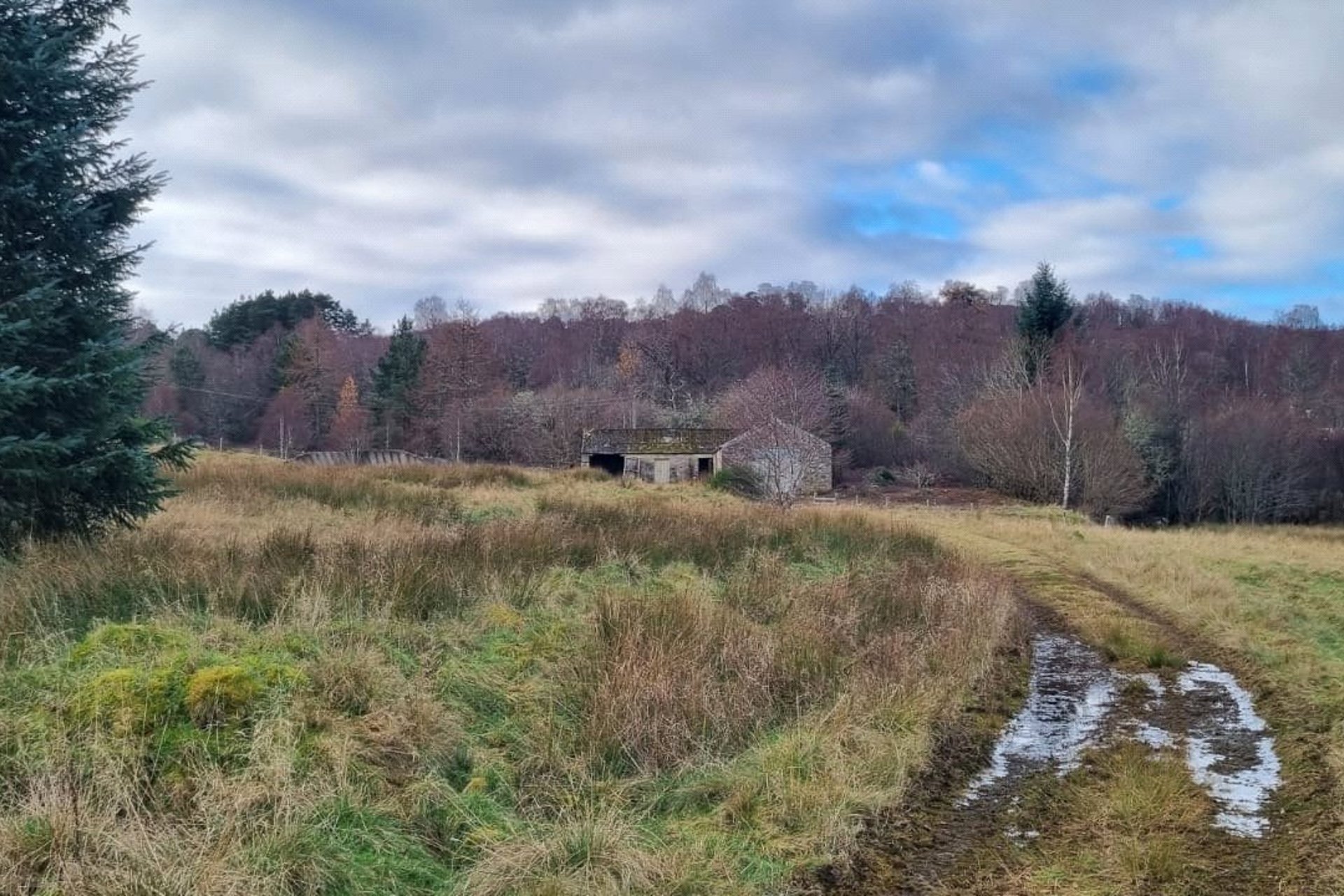 West Camghouran Plot, Rannoch, Pitlochry, Perth and Kinross, PH17 2QG - Picture #6