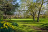 29 Glassel Park Road, Longniddry, East Lothian, EH32 0PA - Picture #19