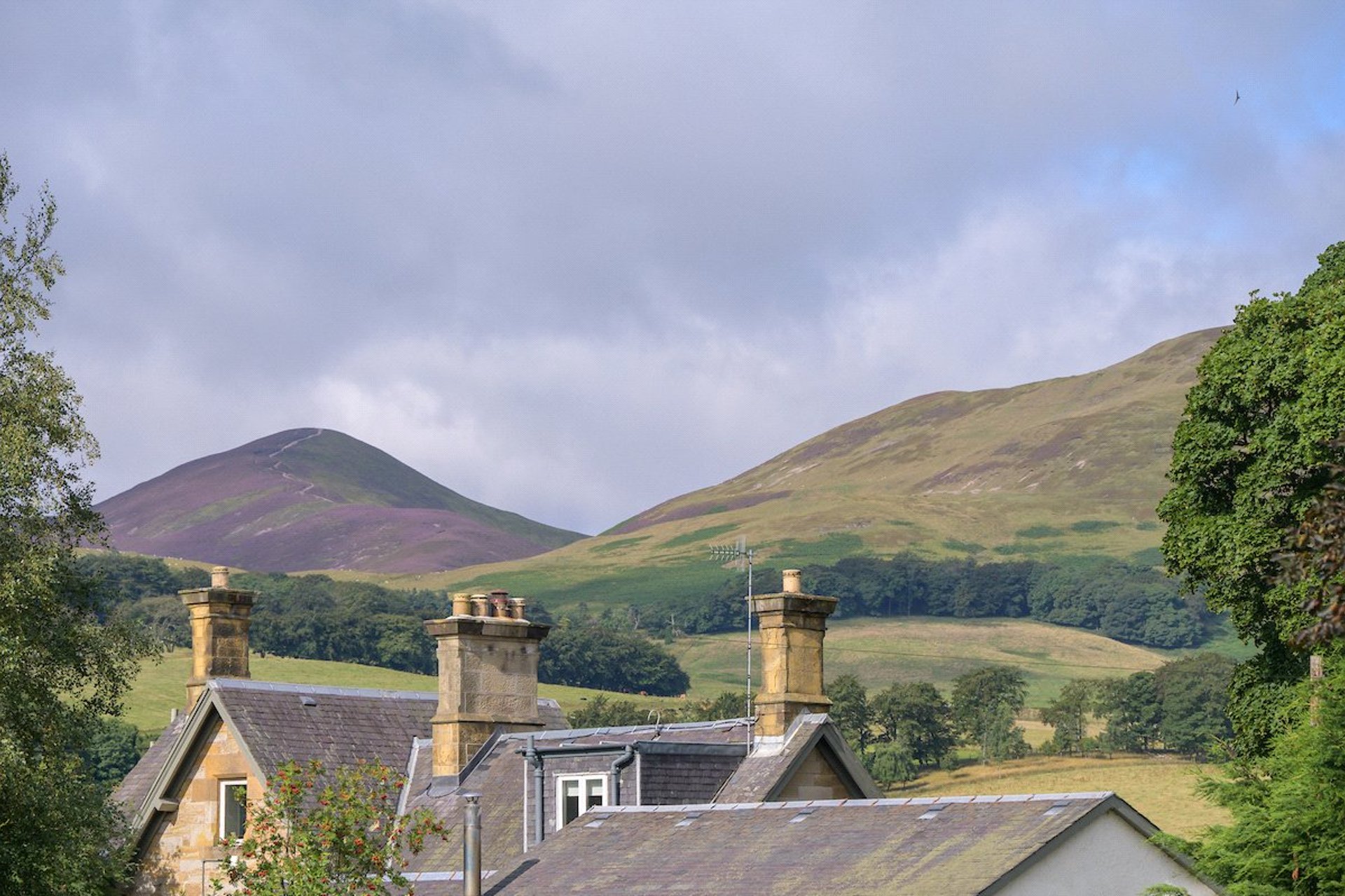 Whitegate House, Penicuik, Midlothian, EH26 0PR - Picture #32
