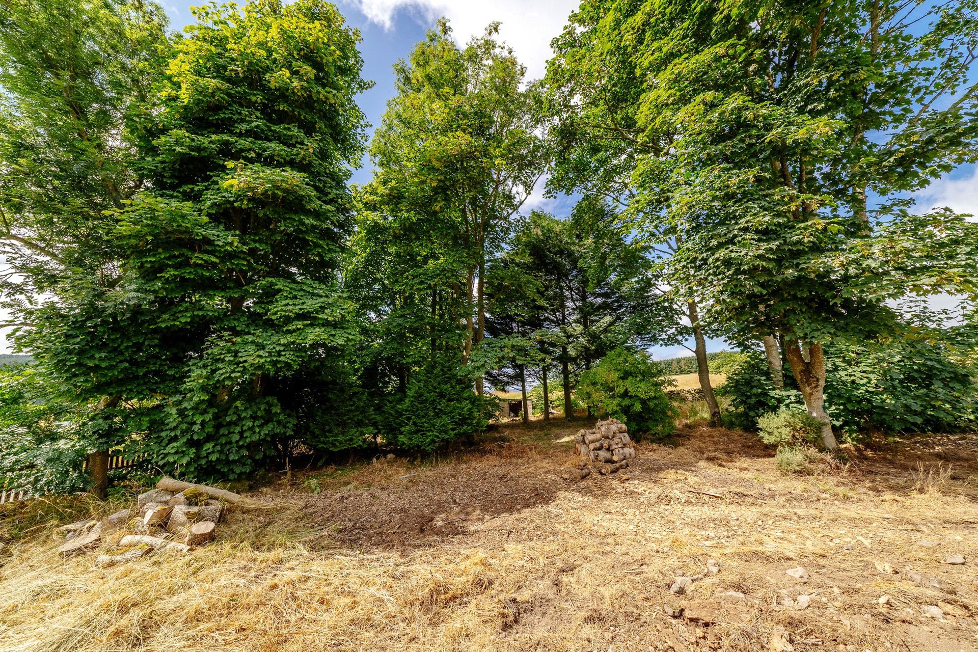 Ladhopemuir, Langshaw, Galashiels, Scottish Borders, TD1 2PB - Picture #30