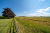 Banktop, Bowsden, Berwick-upon-Tweed, Northumberland, TD15 2TW - Picture #21