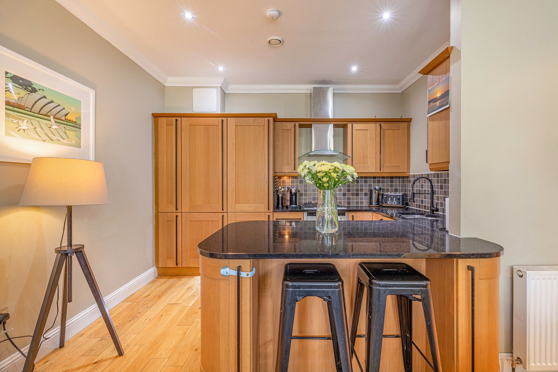 66b Great George Street, Hillhead, Glasgow, G12 8RJ - Picture #7