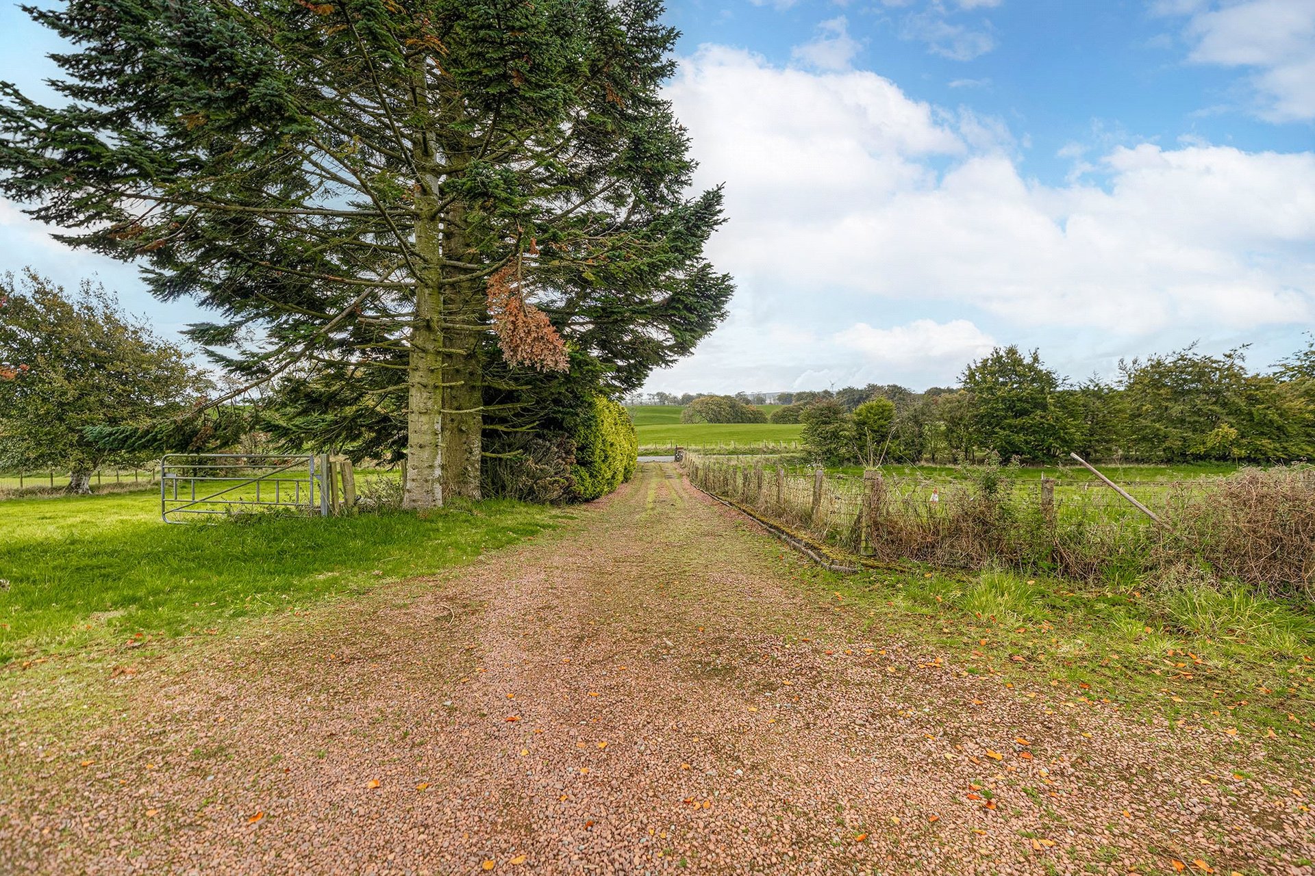 Leaburn House, Millwell Road, East Kilbride, South Lanarkshire, G75 0QL - Picture #22