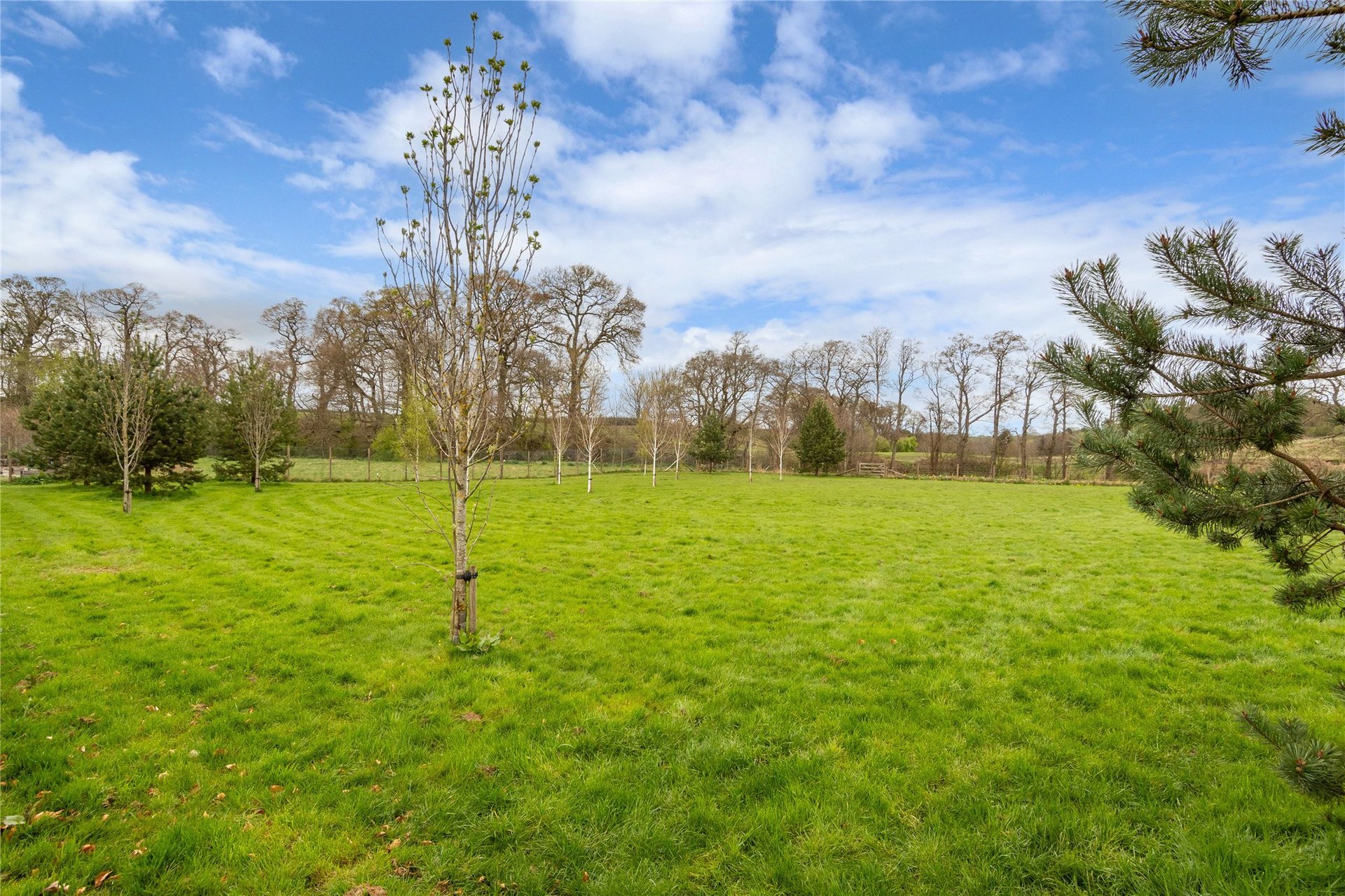 5 The Oaks, Moneydie, Luncarty, Perth, PH1 3HA - Picture #24