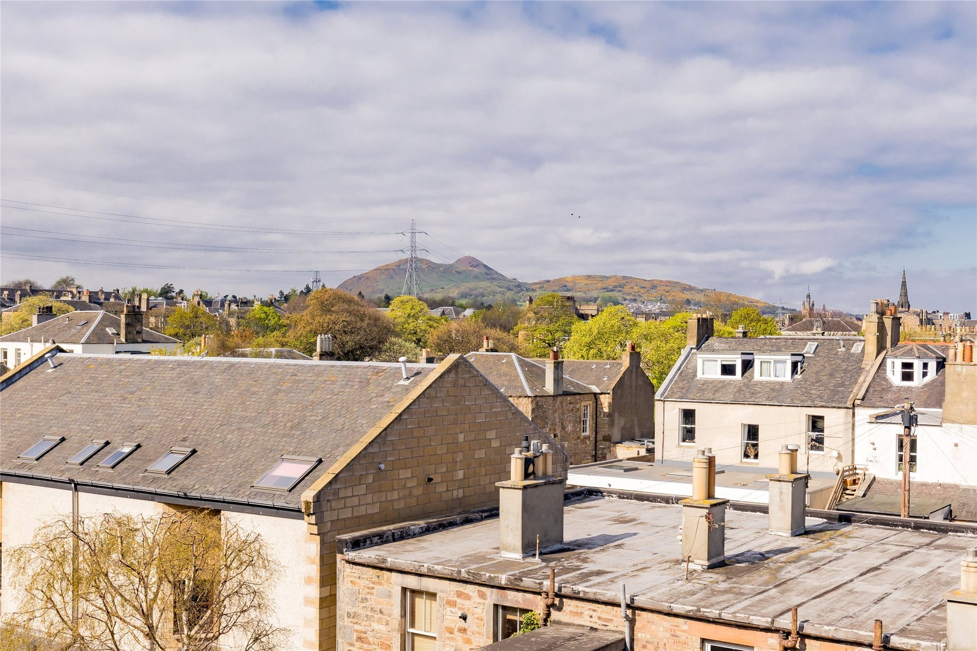 12/7 James Street, Edinburgh, EH15 2DT - Picture #29