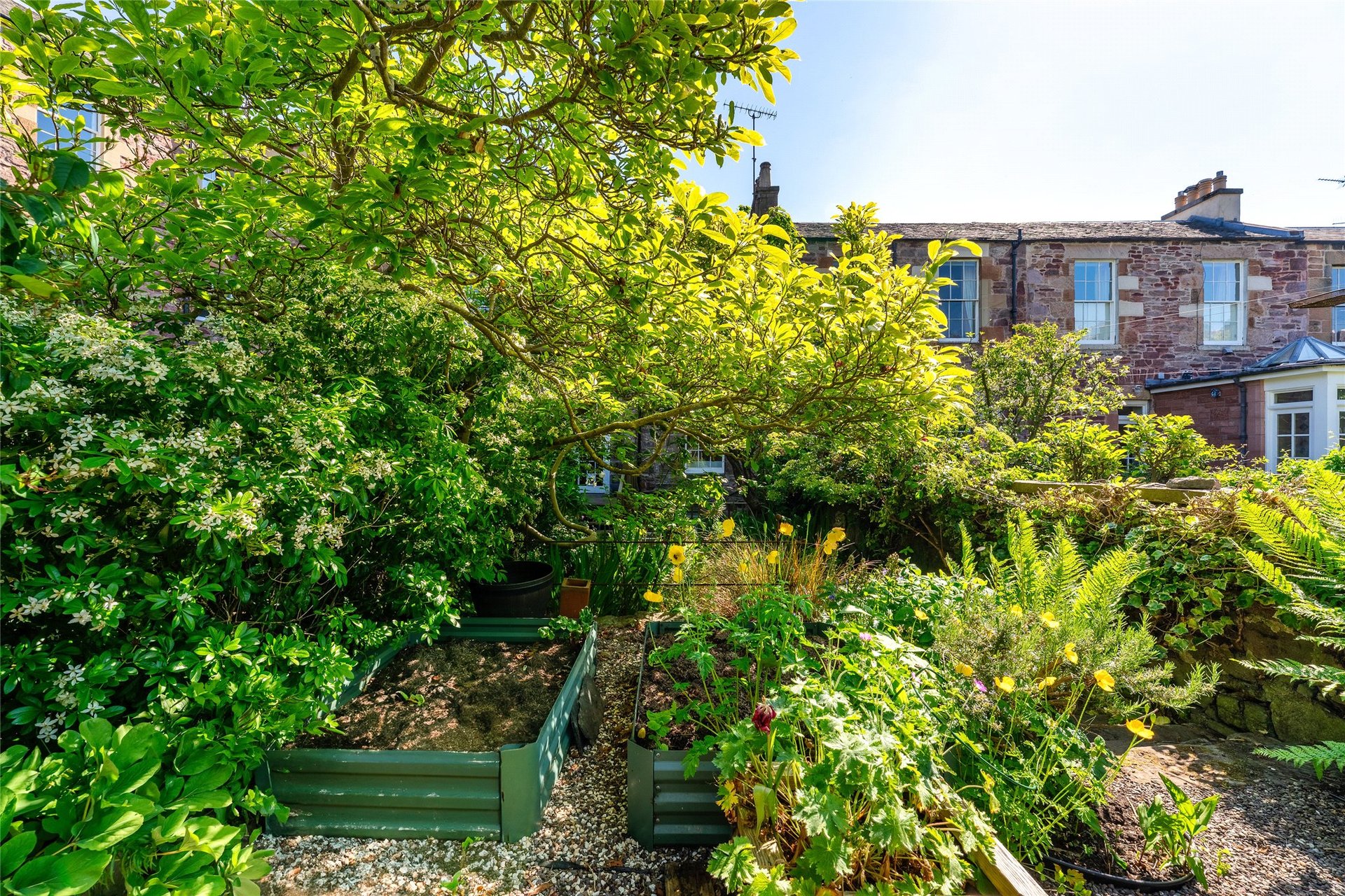 3 Sylvan Place, Marchmont, Edinburgh, EH9 1LH - Picture #25