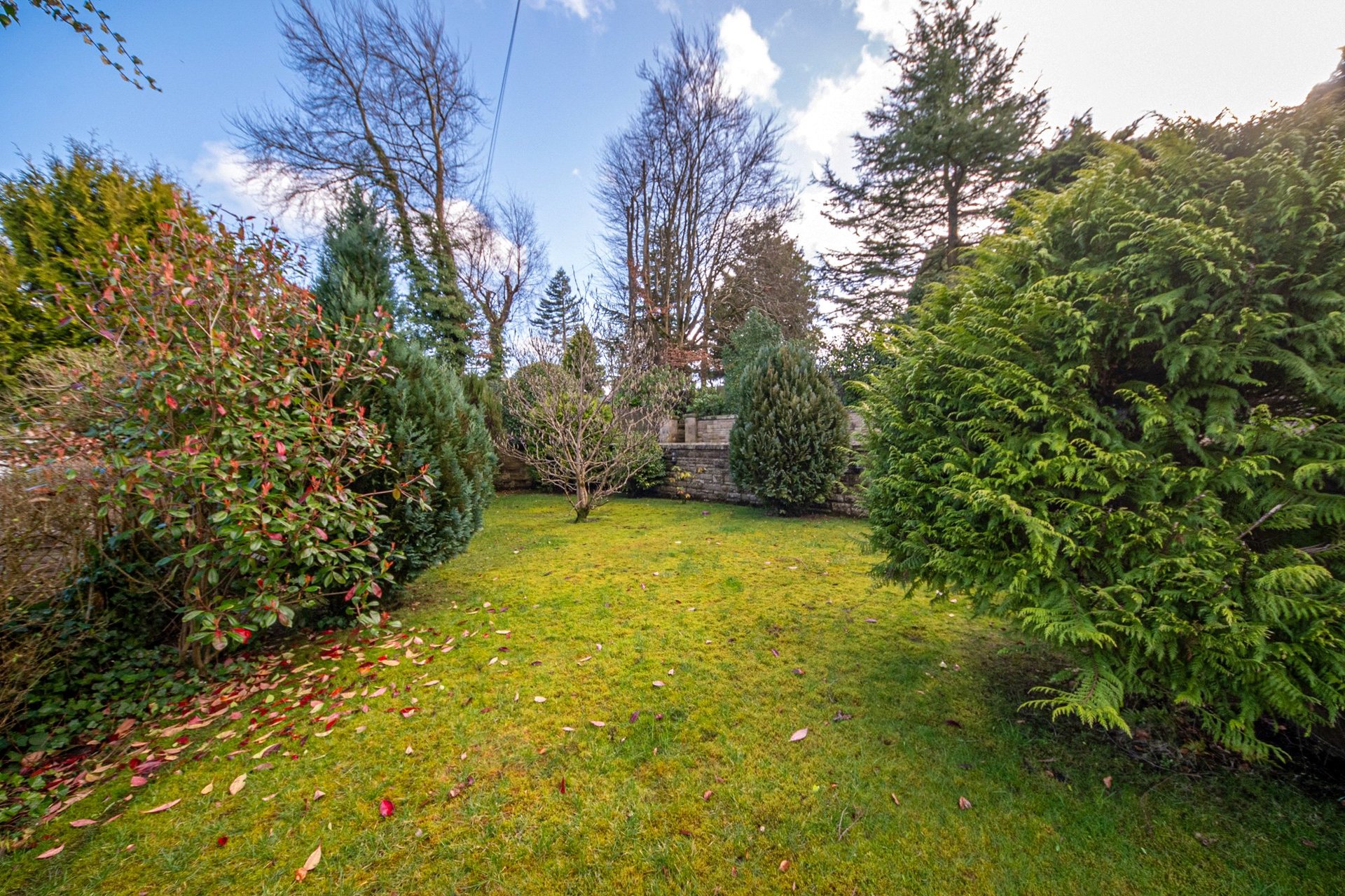 1 Westbrae Road, Newton Mearns, Glasgow, East Renfrewshire, G77 6EQ - Picture #82