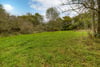 Stewartbank Orchard, Overtown, Garrion Bridge, Clyde Valley, ML2 0RW - Picture #37