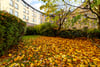Flat 3/1 The Arc, 19 Turnbull Street, Glasgow Green, Glasgow City, G1 5PR - Picture #22