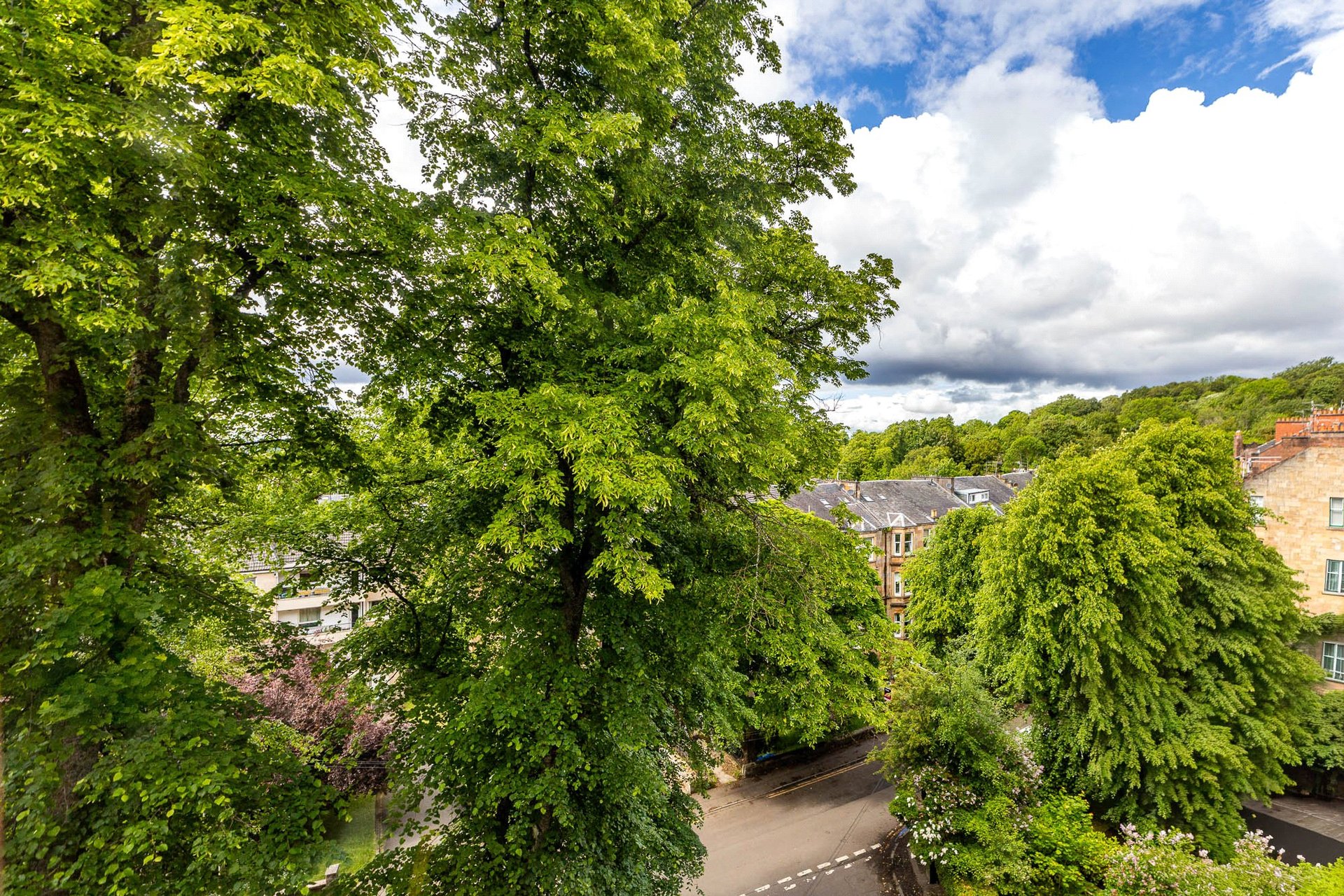 3/2, 29 Camphill Avenue, Shawlands, Glasgow, G41 3AU - Picture #34