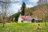 Valley Cottage, Innerleithen, Scottish Borders, EH44 6PX - Picture #21