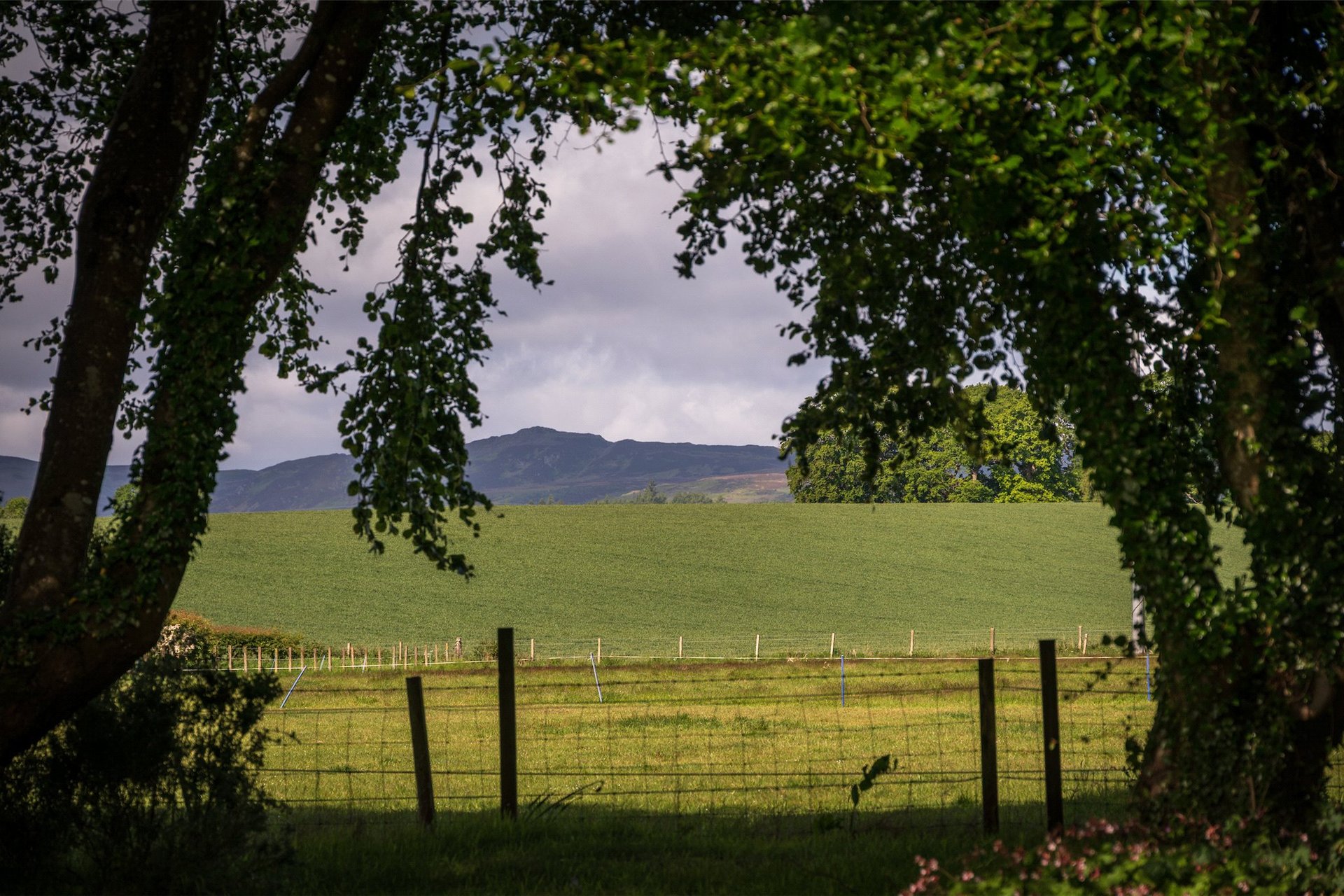 Auchtergaven Manse, Bankfoot, Perth, Perth and Kinross, PH1 4BS - Picture #24