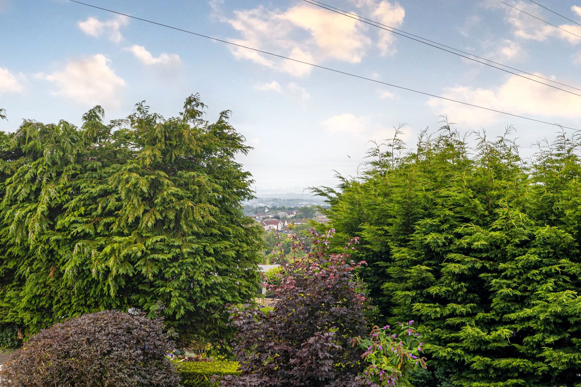Motu-Whare, Cochno Road, Hardgate, West Dunbartonshire, G81 6PR - Picture #21
