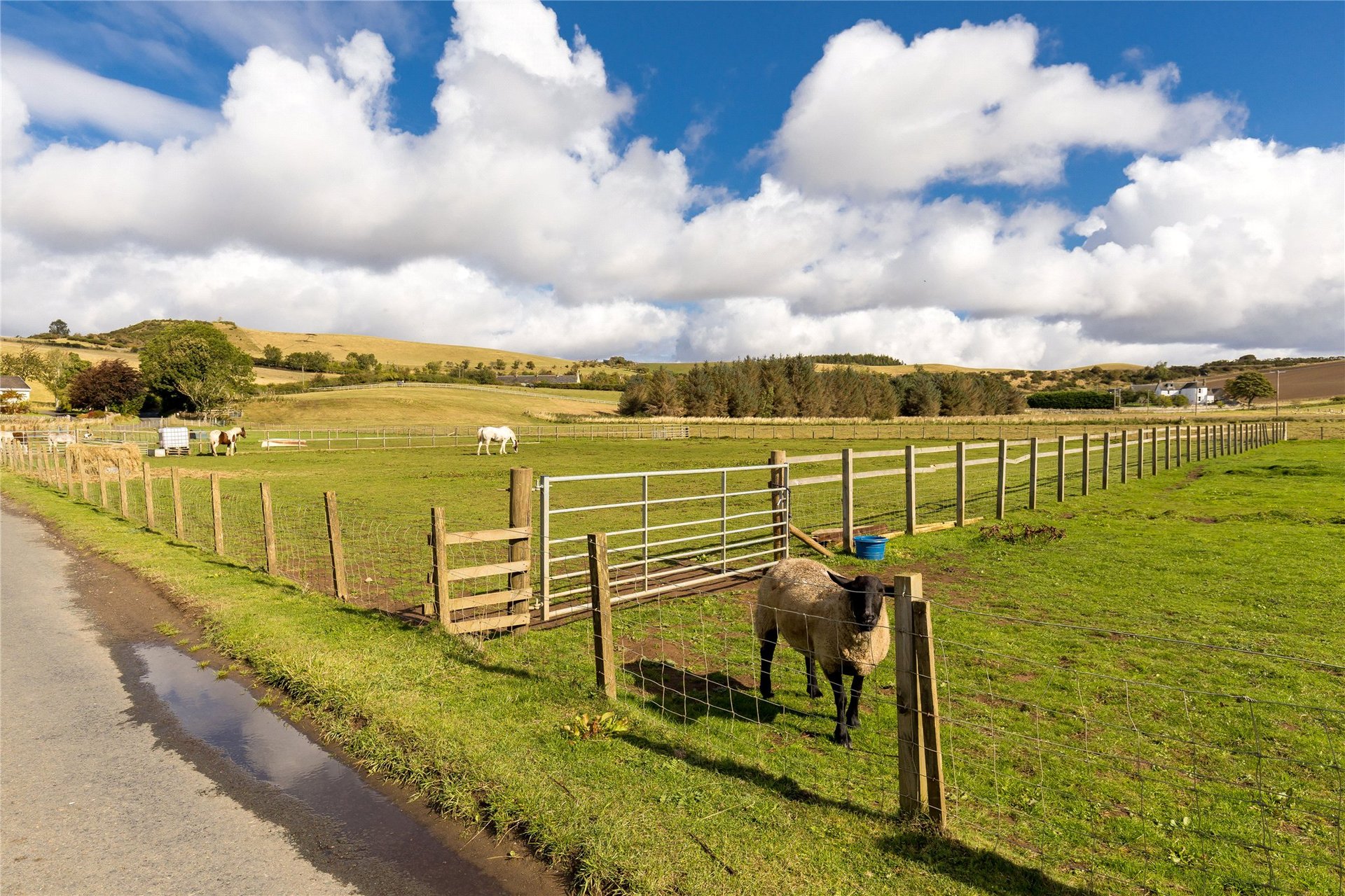 Borthwick Farmhouse, Borthwick, Midlothian, EH23 4QZ - Picture #28