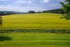 Lochton House, Abernyte, Perth, Perth and Kinross, PH14 9TA - Picture #28