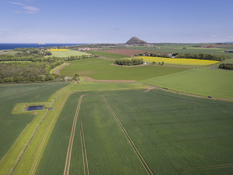 Fields at New Mains