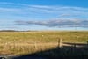 Ardonachie Farm, Bankfoot, Perth, Perth and Kinross, PH1 4DY - Picture #16