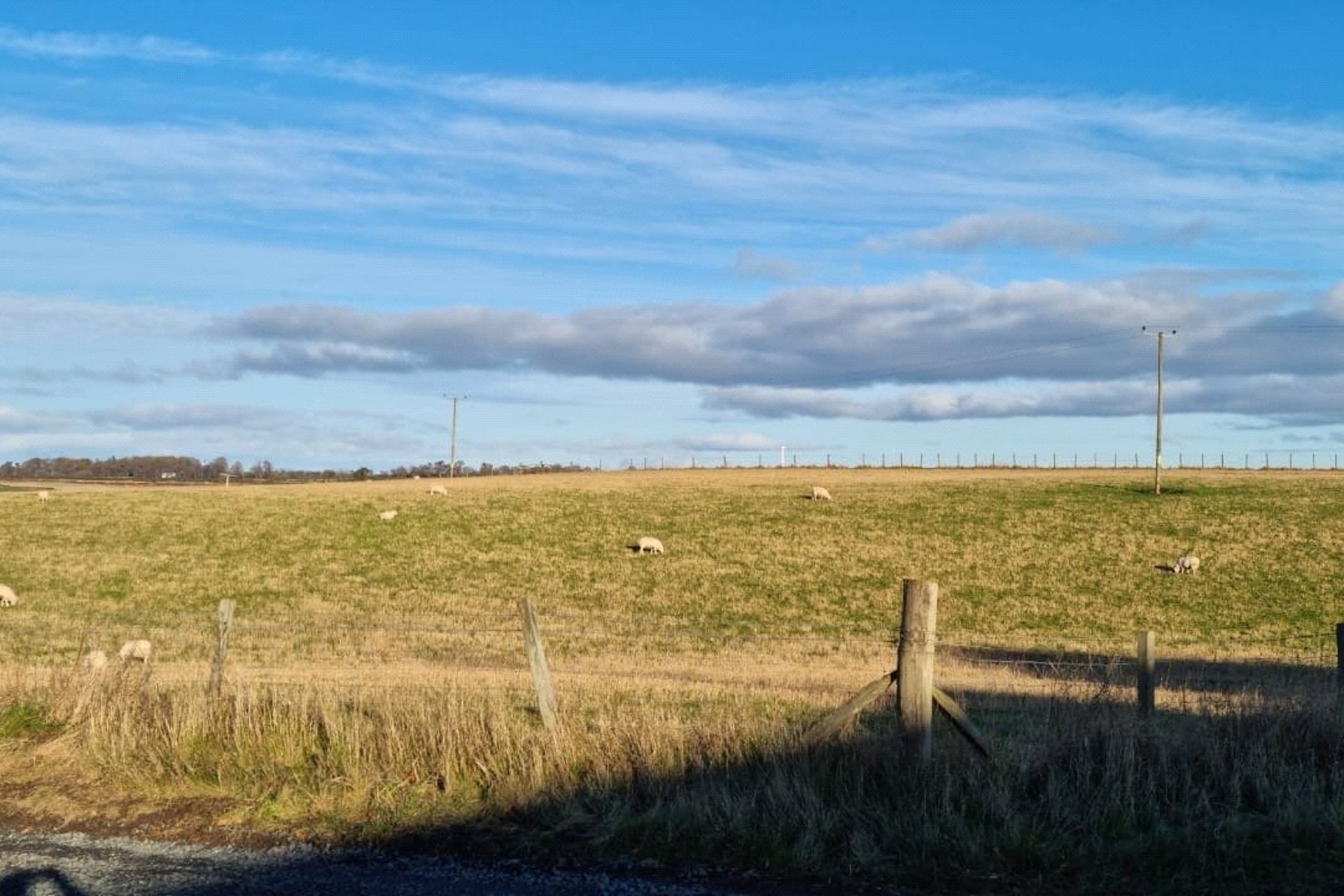 Ardonachie Farm, Bankfoot, Perth, Perth and Kinross, PH1 4DY - Picture #16