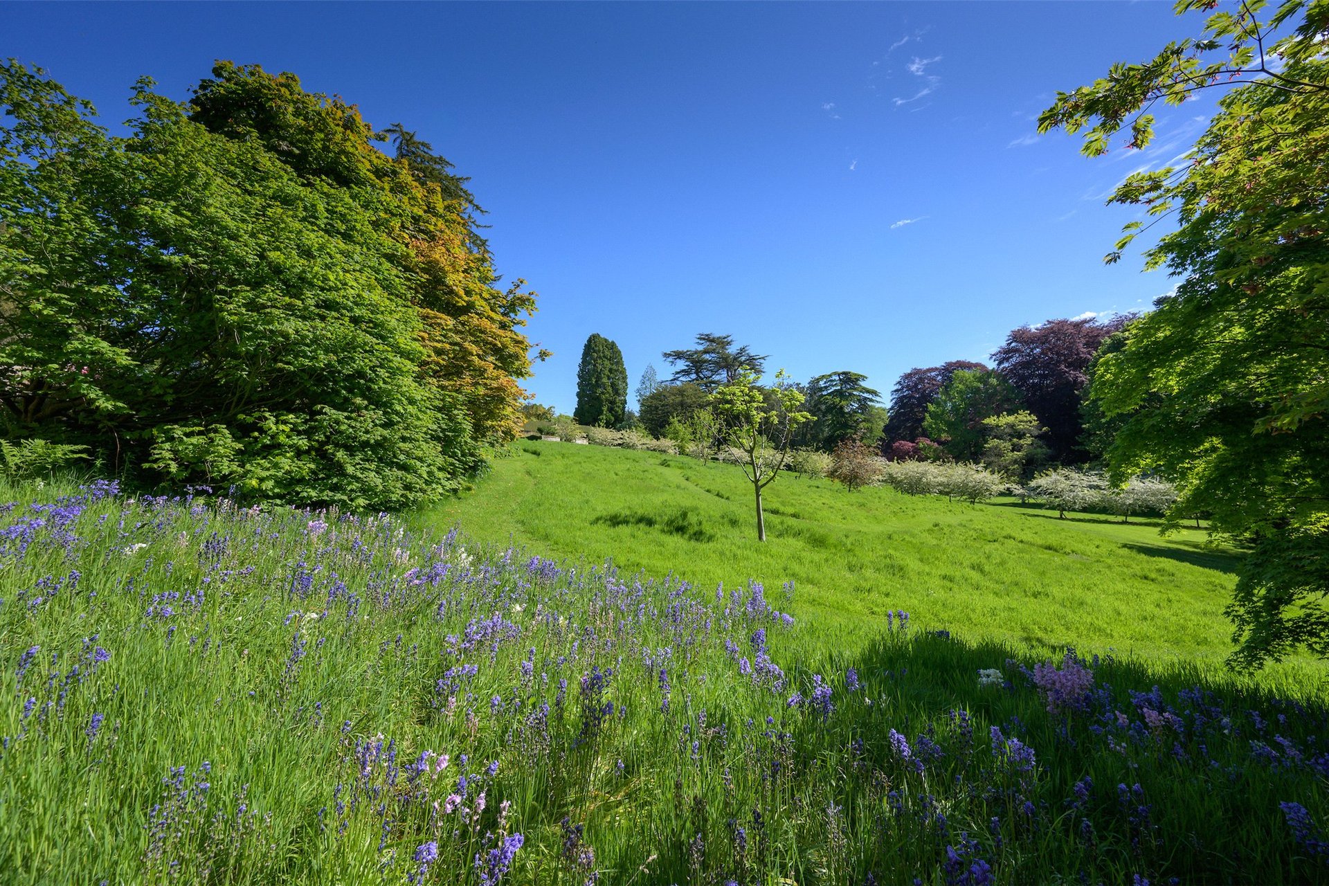 Brechin Castle, Brechin, Angus, DD9 6SG - Picture #20