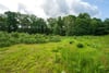 Plot at The Oaks, The Oaks, Moneydie, Luncarty, PH1 3HA - Picture #3