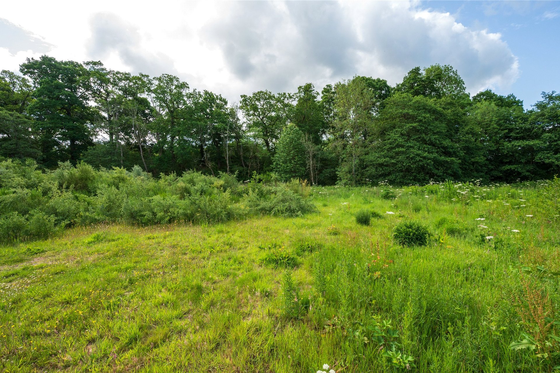 Plot at The Oaks, The Oaks, Moneydie, Luncarty, PH1 3HA - Picture #3