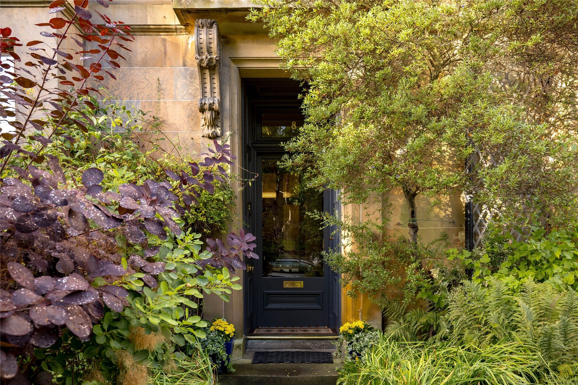 8/3 Greenhill Place, Greenhill, Edinburgh, EH10 4BR - Picture #4