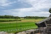 31 Linkfield Road, Musselburgh, East Lothian, EH21 7LL - Picture #36