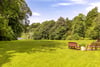 48 Norwood Park, Bearsden, G61 2RZ - Picture #9