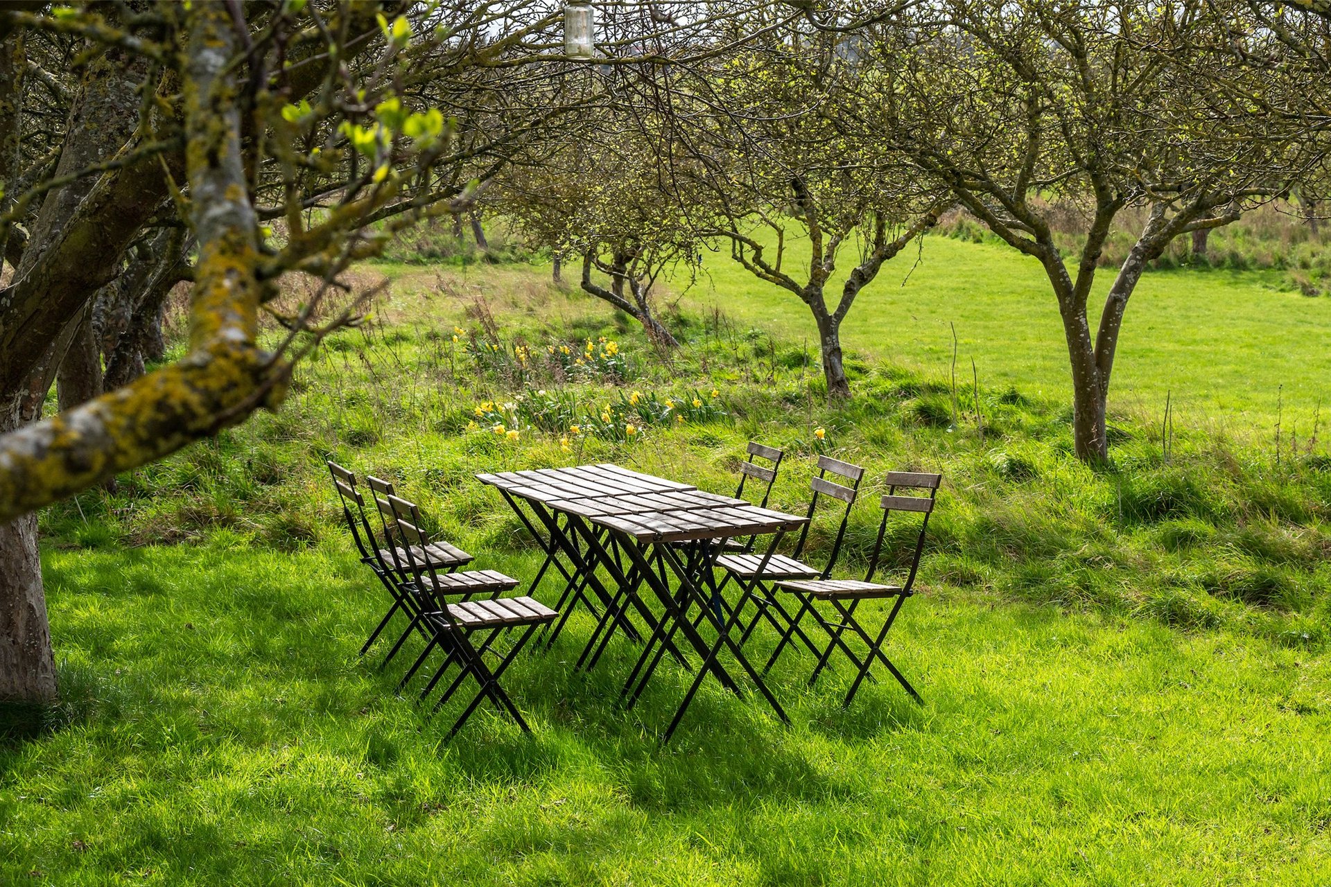 Bankton House South, Prestonpans, East Lothian, EH33 1NG - Picture #23