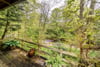 Wells North Lodge, Bedrule, Hawick, Scottish Borders, TD9 8TD - Picture #26