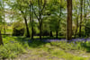 Clatto House, Blebocraigs, Cupar, Fife, KY15 5UE - Picture #35