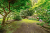 Flat 2, 4 Viewforth, Edinburgh, EH10 4JF - Picture #26