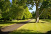 Stevenson House, Haddington, East Lothian, EH41 4PU - Picture #49