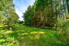 Bowmuir Lodge, Libberton, Carnwath, Lanark, South Lanarkshire, ML11 8LX - Picture #40