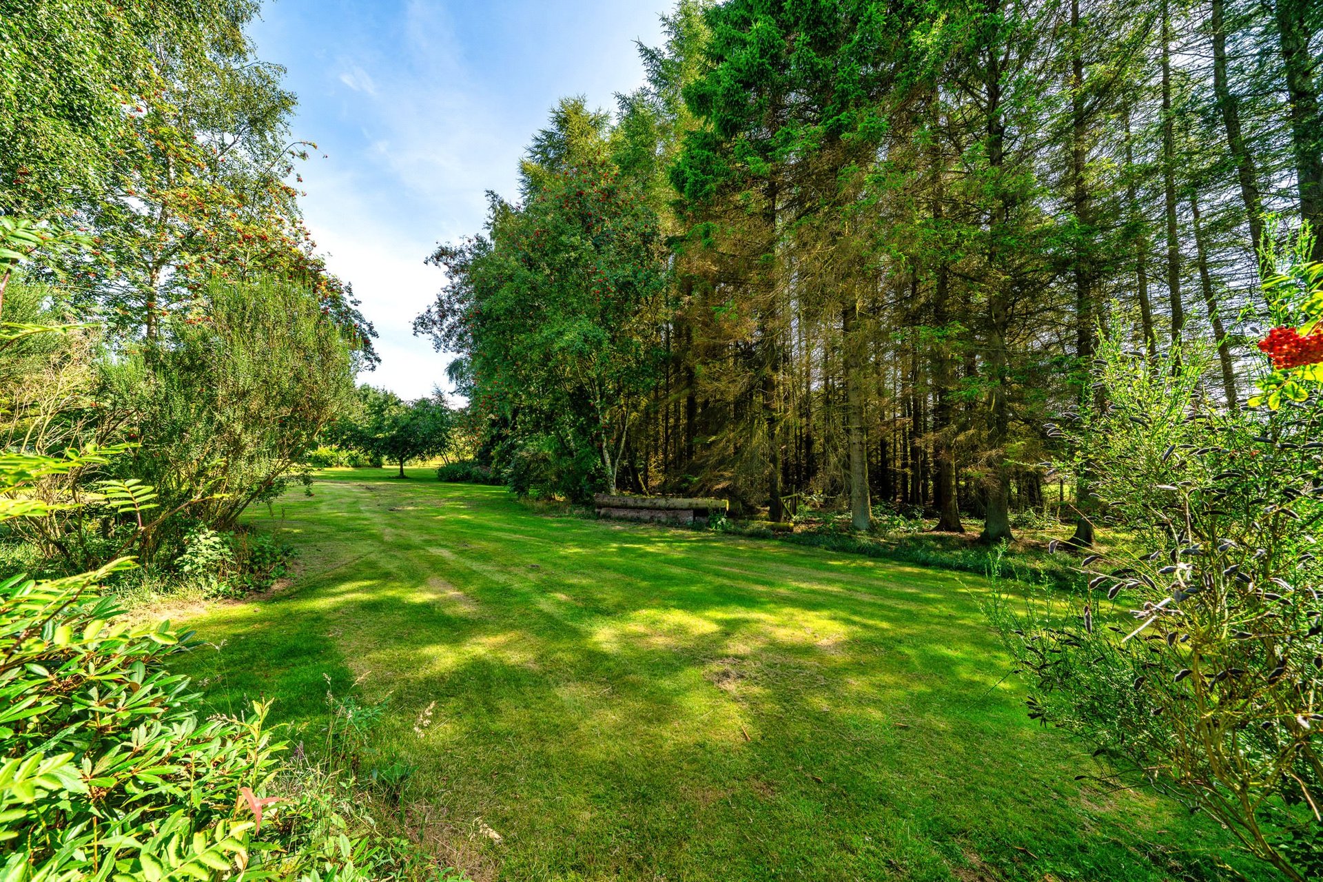 Bowmuir Lodge, Libberton, Carnwath, Lanark, South Lanarkshire, ML11 8LX - Picture #40