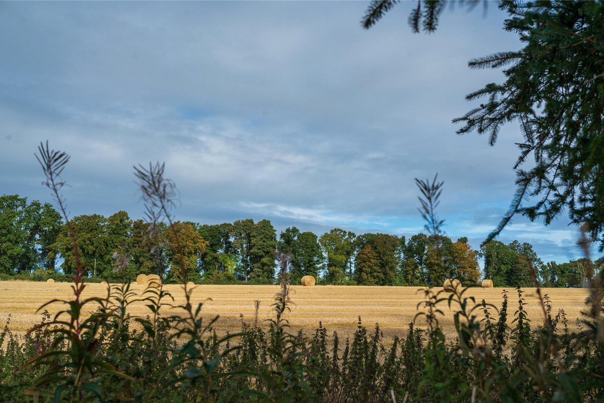 Old Mill House, West Saltoun, Pencaitland, East Lothian, EH34 5EP - Picture #39