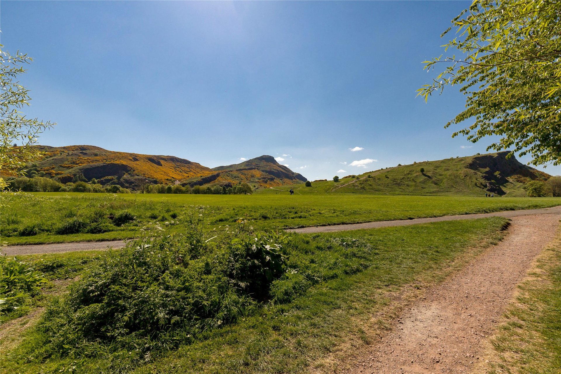 10/5 Waverley Park, Edinburgh, EH8 8EU - Picture #16