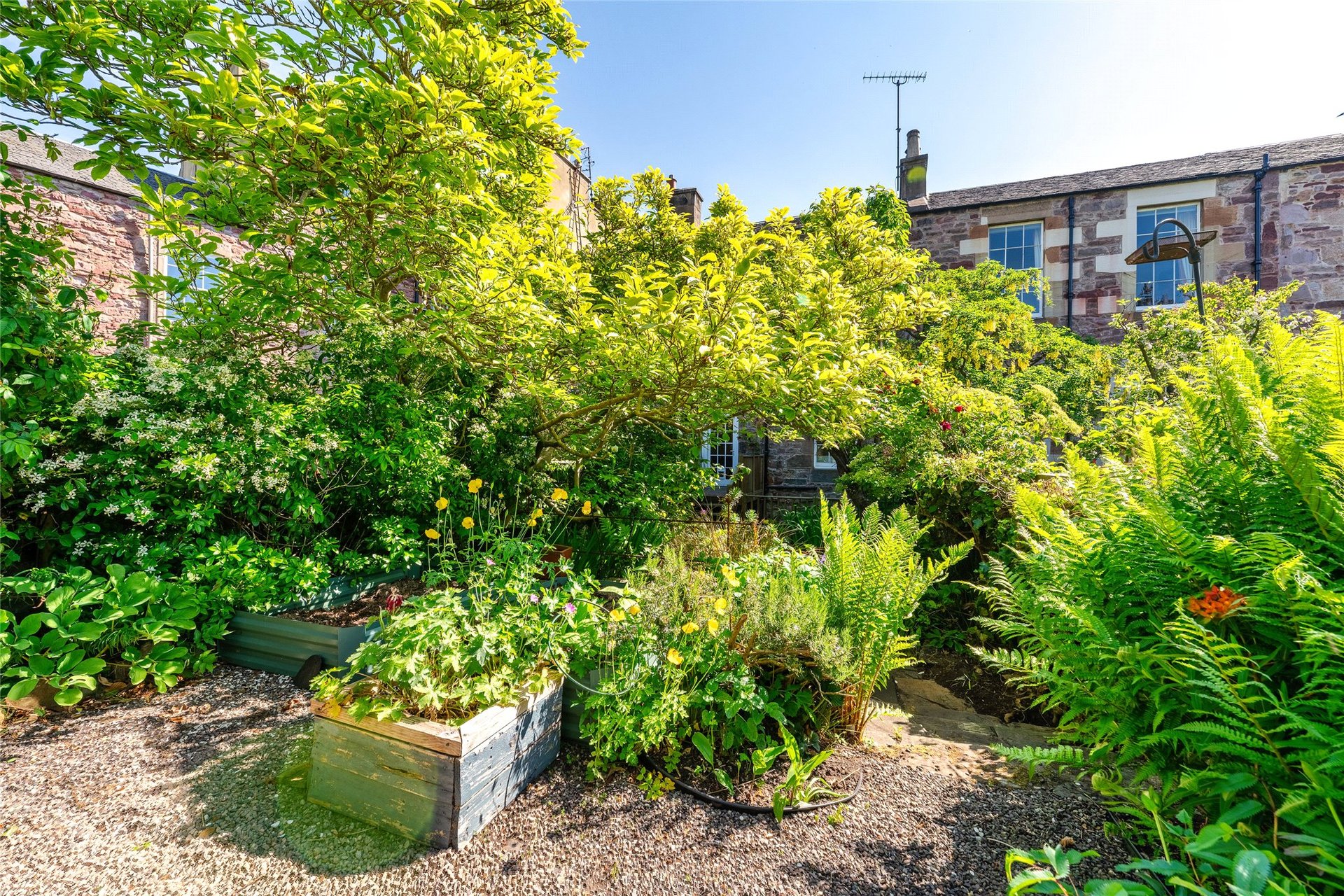 3 Sylvan Place, Marchmont, Edinburgh, EH9 1LH - Picture #24