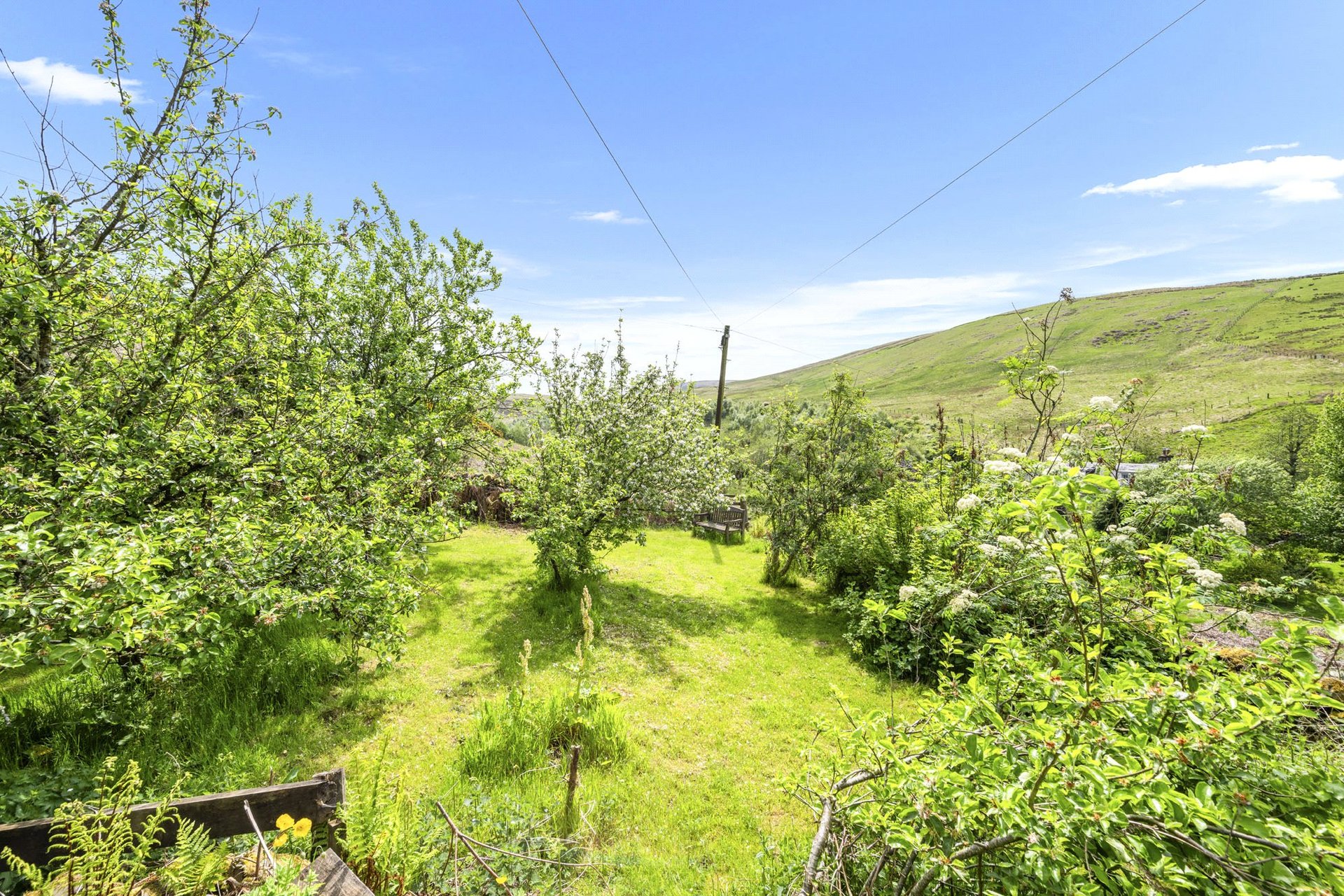 Priesthaugh Cottage, Hawick, Scottish Borders, TD9 0PQ - Picture #23