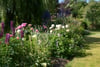 Fawnwood Cottage, 21B Station Road, Gifford, Haddington, East Lothian, EH41 4QL - Picture #30