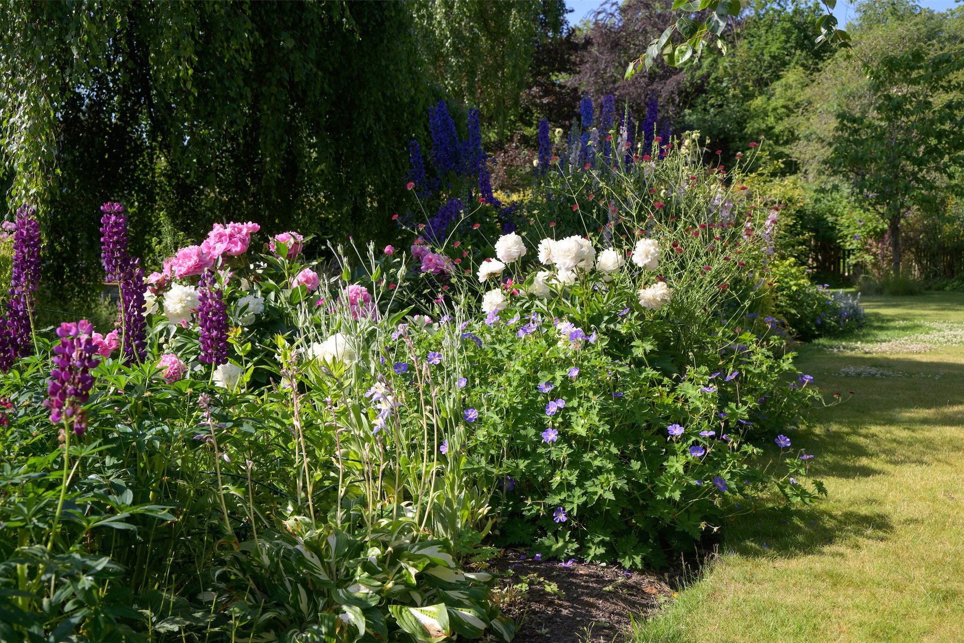 Fawnwood Cottage, 21B Station Road, Gifford, Haddington, East Lothian, EH41 4QL - Picture #30